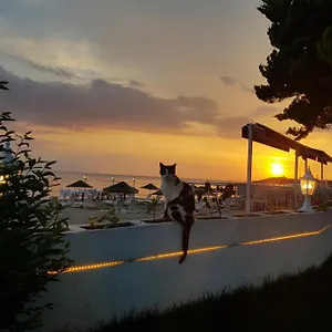 Sevilla Türkiye